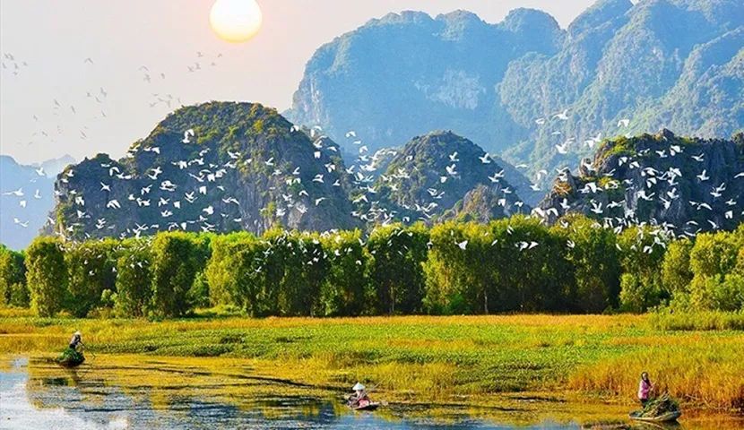 Van-Long-Nature-Reserve.jpg
