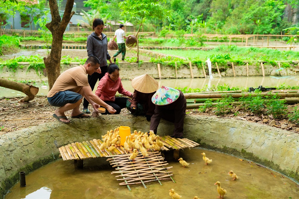 Farmer-Ninh-Binh.jpg