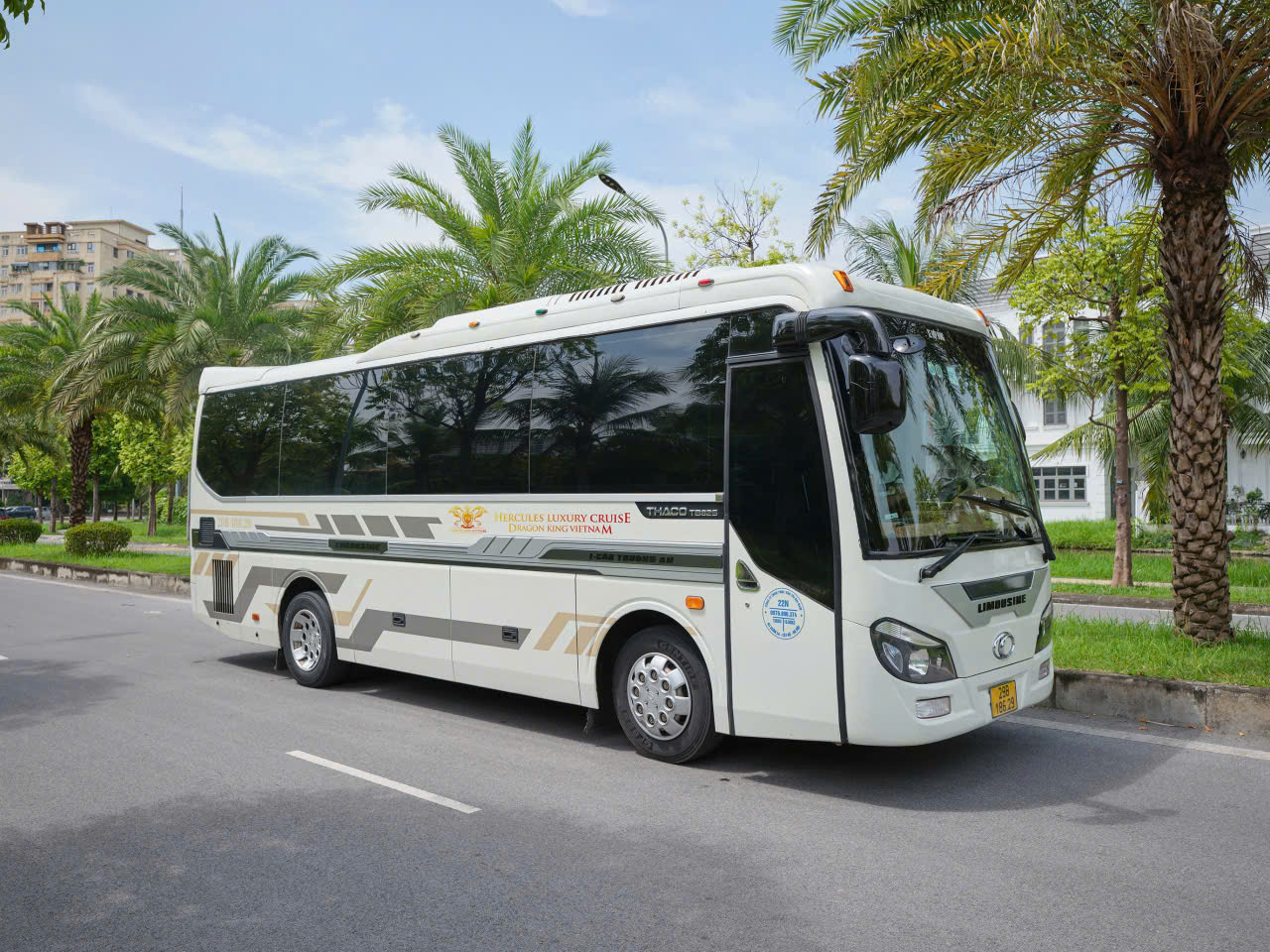 Limousine-bus-Ninh-Binh.jpg