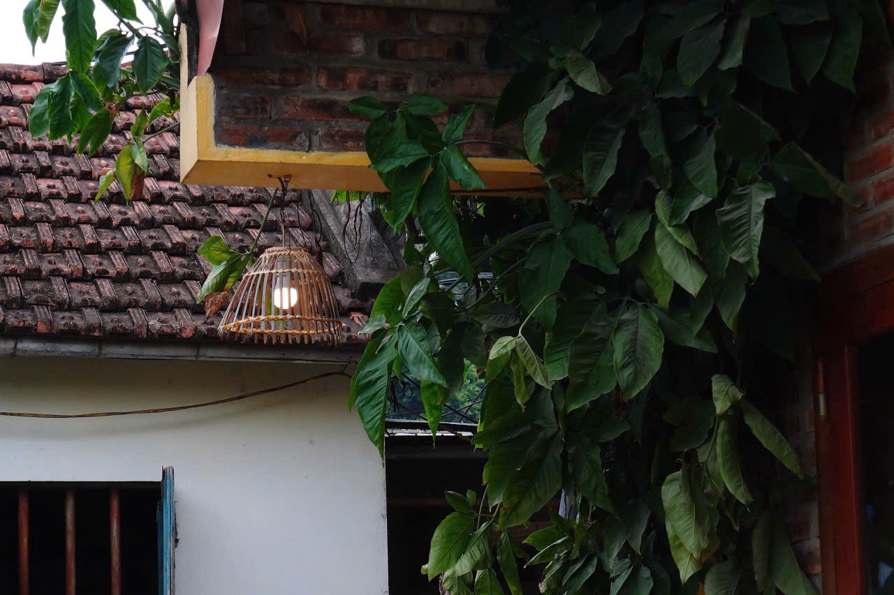 Tam Coc Lake View Homestay
