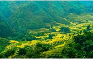 Sapa travel guide