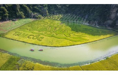 Top Ninh Binh tourist attractions